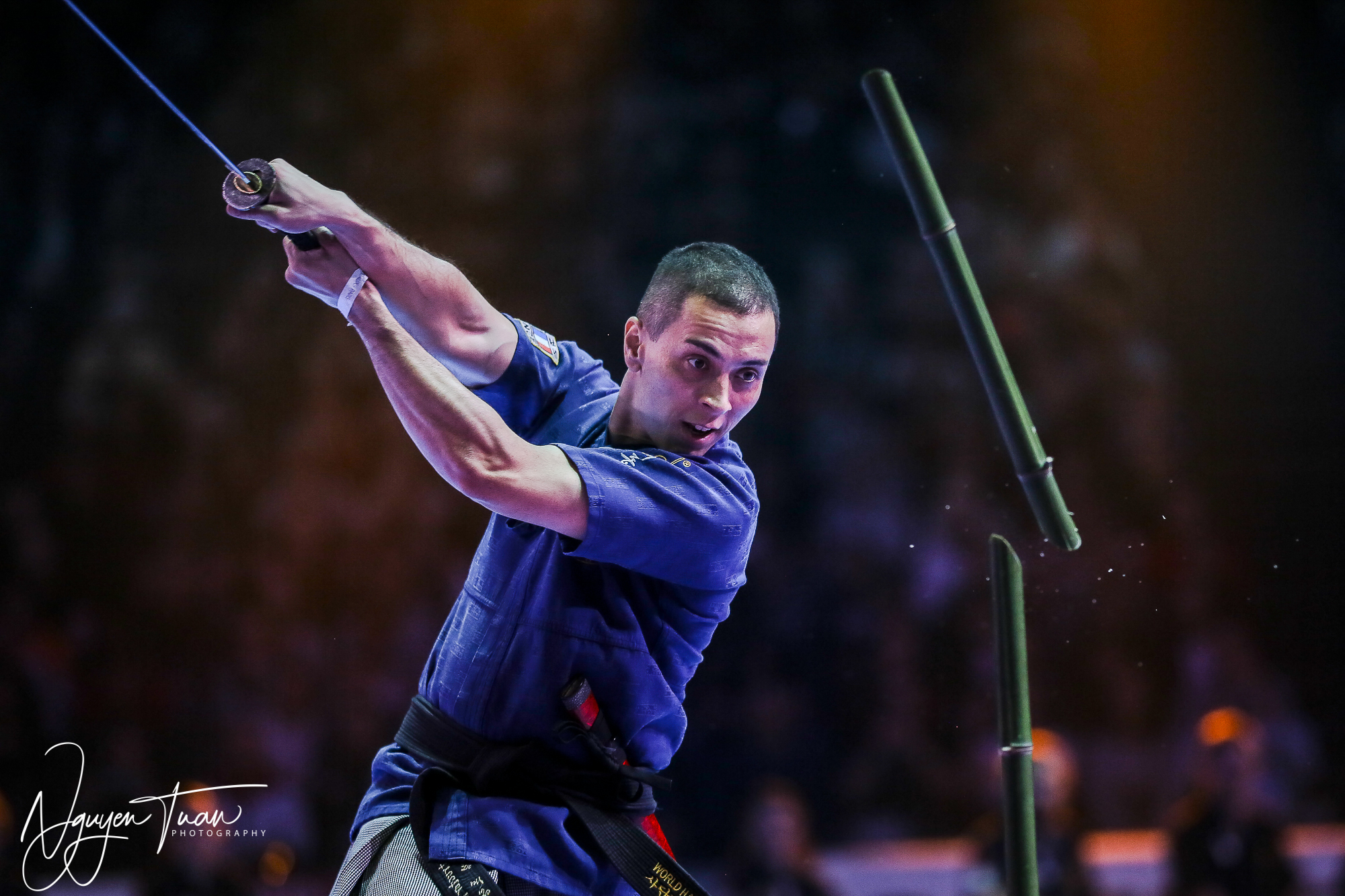 20190324 Festival des Arts Martiaux 3527